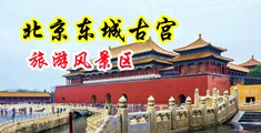 骚逼少妇视频中国北京-东城古宫旅游风景区